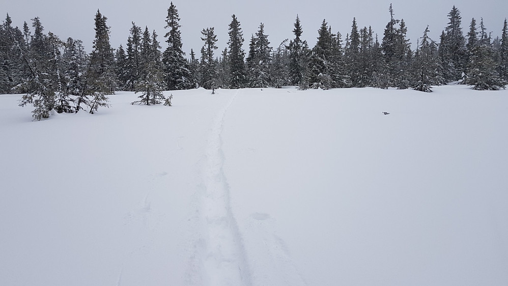 Jeg valgte å følge eget spor tilbake da det da ble mye lettere å gå. Sporet så mer ut som en grøft i snøen enn et skispor.