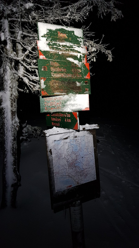 Jeg kunne gå på gjennblåst preparert spor bort til krysset ved Fjellelva, deretter bar det ut i løssnøen
