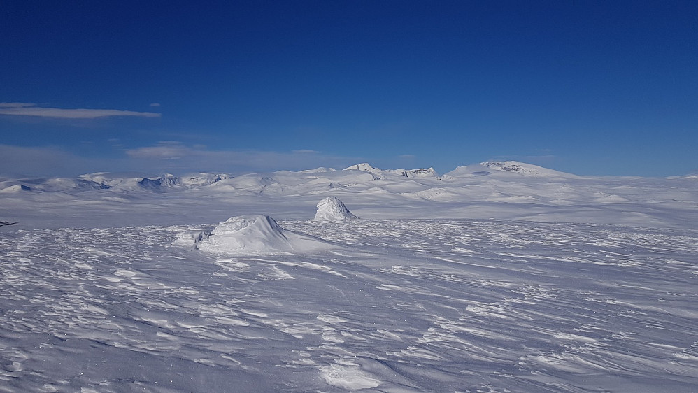 Toppen av Blåberget med Snøhetta i bakgrunnen