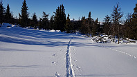 Tilbakeblikk på eget spor litt oppe i lia mot Storhaugen. Tungt å gå i den løse snøen 