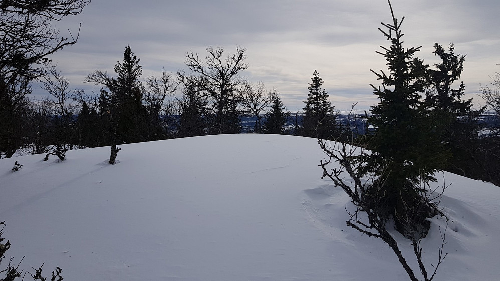 Snøen lå urørt på høyeste punkt på Svarthaugen