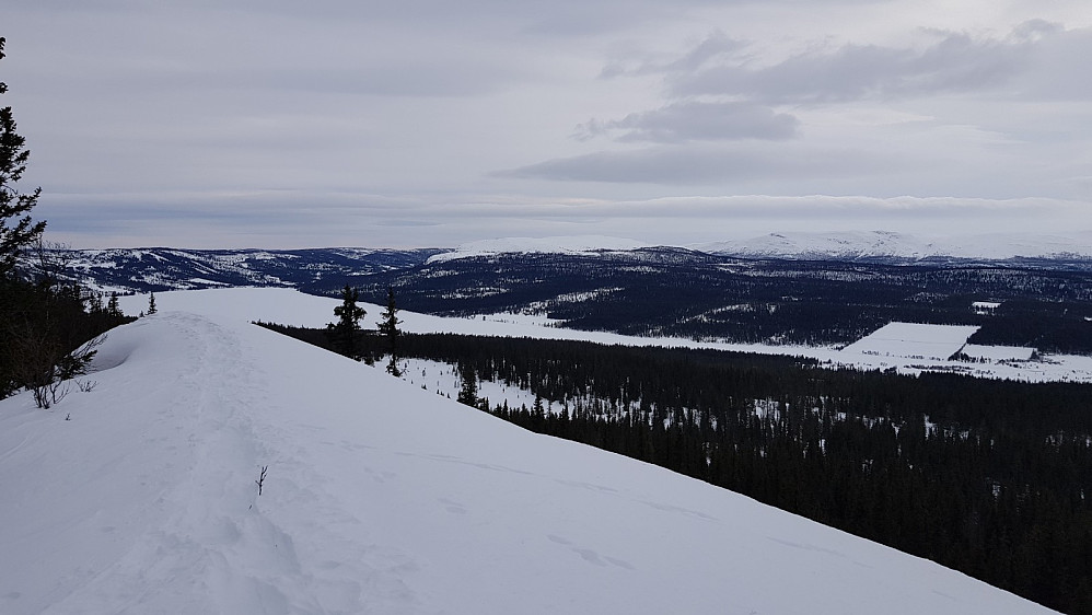 Utsikt rett ved toppen bort mot Valsfjellet