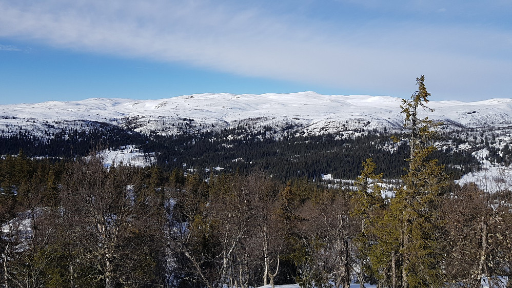 Flott utsikt over dalen mot Spåtind