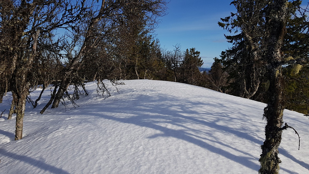 Snøen lå urørt på toppen av Munkhatthøgda