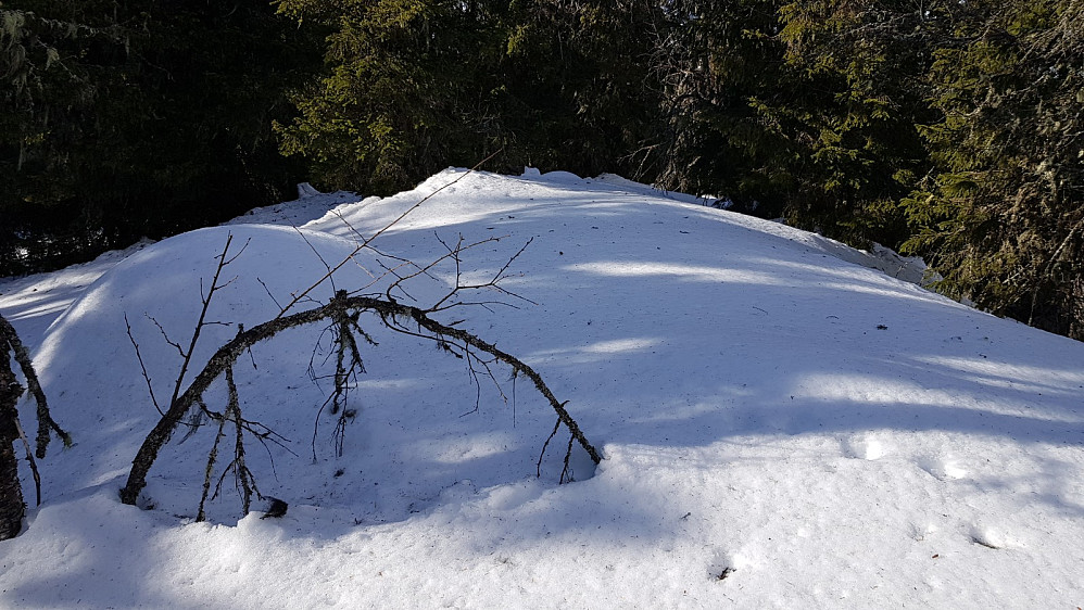 Urørt snø på toppen av Trettehøgda
