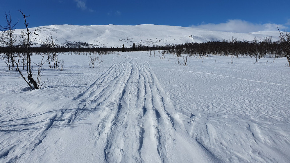 Det var masse spor etter andre som har gått opp her på Rando ski