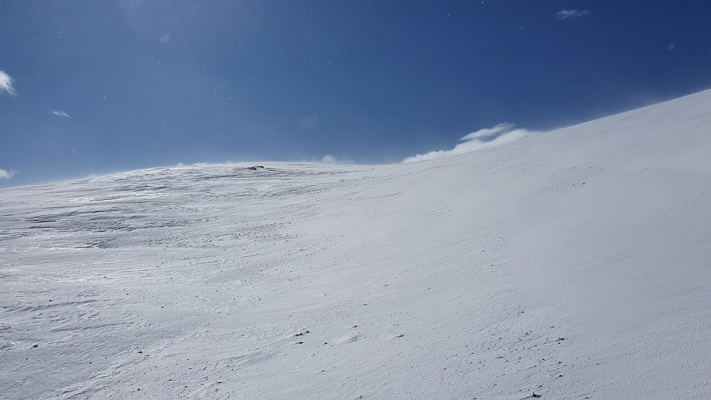 Det blåste så hardt i høyden at det var kaldt å ta bilder i dag. Jeg hadde tenkt å ta en tur bort på Leppkampen, men det var rett og slett ikke mulig i den sterke vinden
