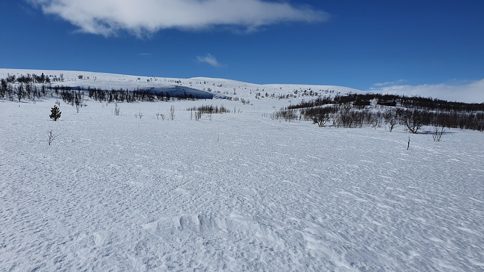 Vetafjellet er mer en kul i landskapet enn et fjell. Vinden tok ganske bra også her nede på myrene