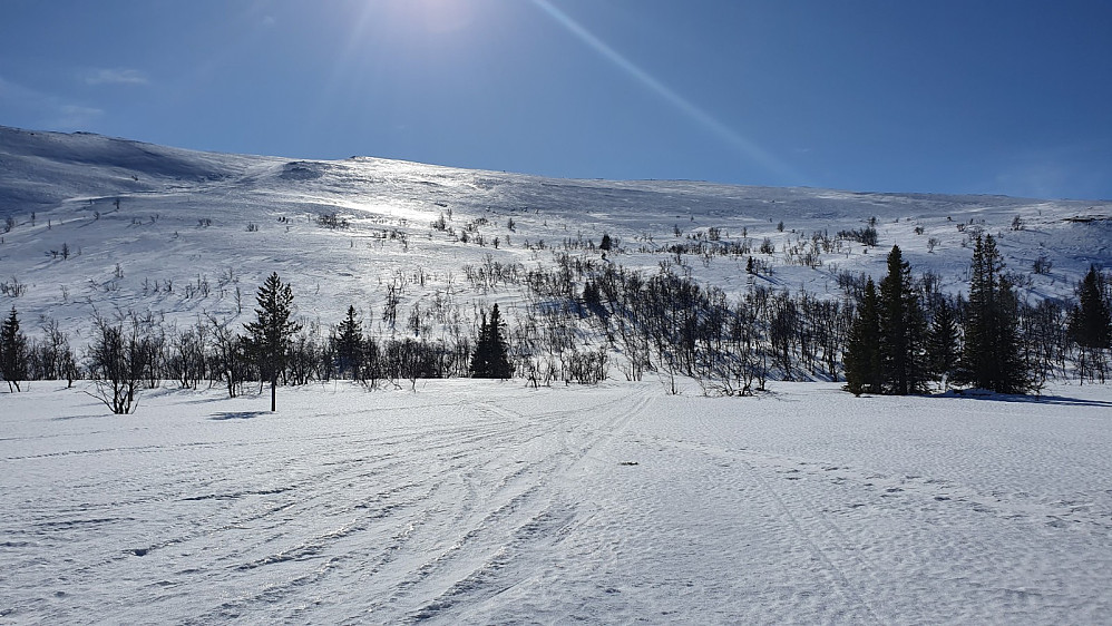 Tilbakeblikk på fjellsiden vi kjørte ned, før vi akte myrene tilbake til bilen