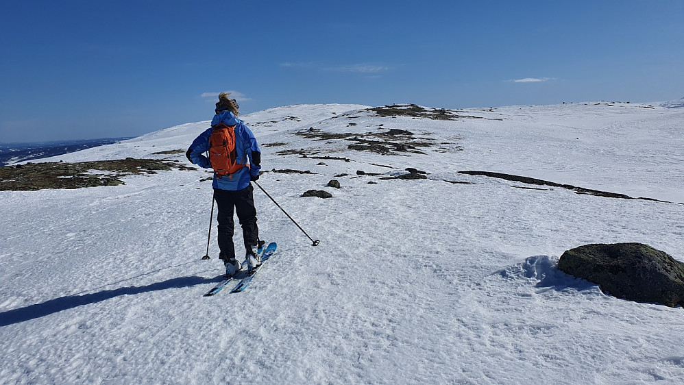 Nede i Leppskaret kom fellene på igjen før vi satte kursen opp Ongsjøfjellet