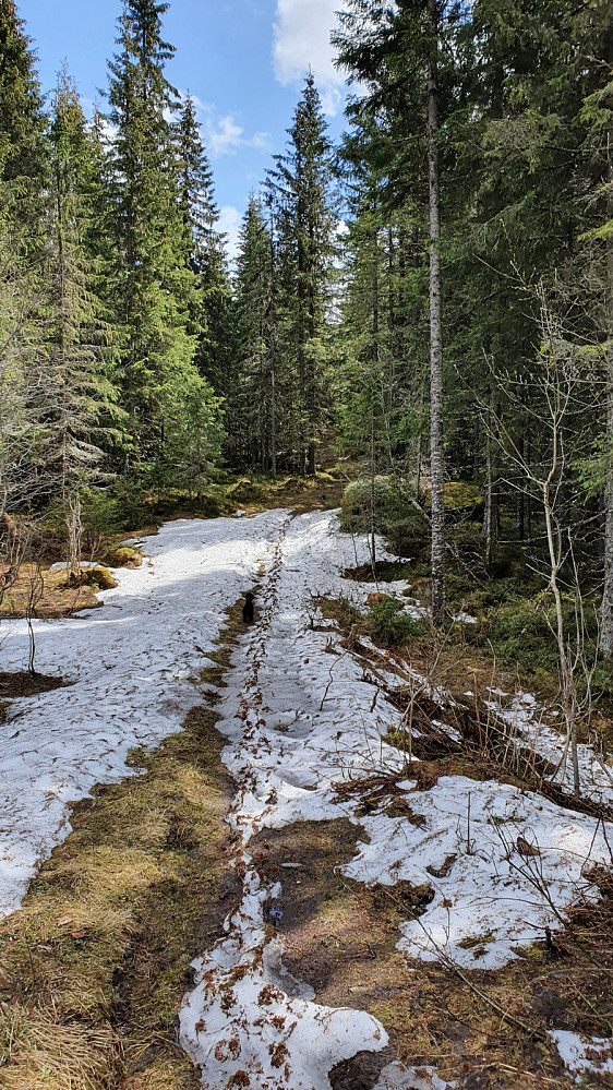 Fortsatt en del snø i skyggepartiene