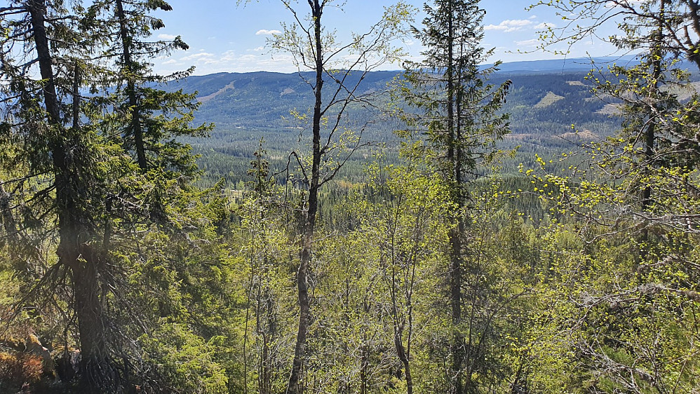 Litt utsikt mellom trærne på kanten av berget