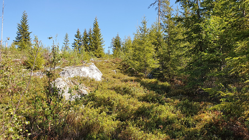 Etter å ha gått stien langs gjerdet, tok jeg av i terrenget mot toppen