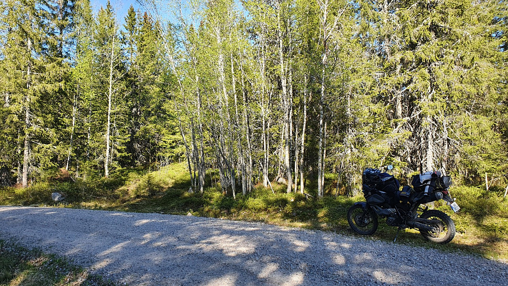 Veien opp mot toppen var nygruset og krevende å kjøre på 2 hjul. Jeg parkerte i skyggen litt før veien sluttet