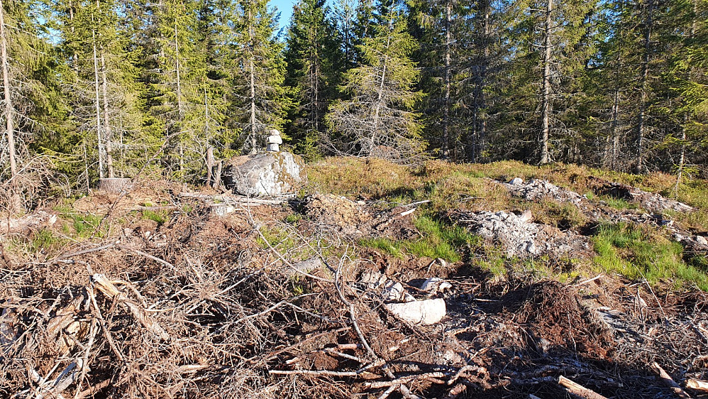 I grensen av hogstfeltet var det en markering på en stein der det var naturlig å gå mot toppen