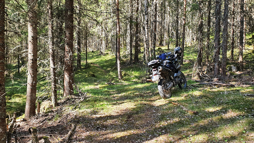 Her var det slutt på veien og motorsykkelen ble parkert i den svale skogen. Varmen hadde ikke helt satt inn enda.