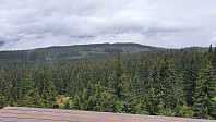 NJK500_20200607_5edcdedc1d9b6.jpg
