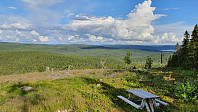 Mye flott skog innover i Sverige