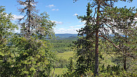 Litt utsikt mellom trærne, mot Sverige