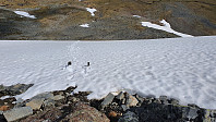Jeg valgte å gå bratt opp snøfonna og brukte to lange spisse steiner til å sikre meg i det bratteste partiet, som var nederst i fonna. Jeg ble våt og iskald på fingrene, da hanskene mine ikke var vanntette