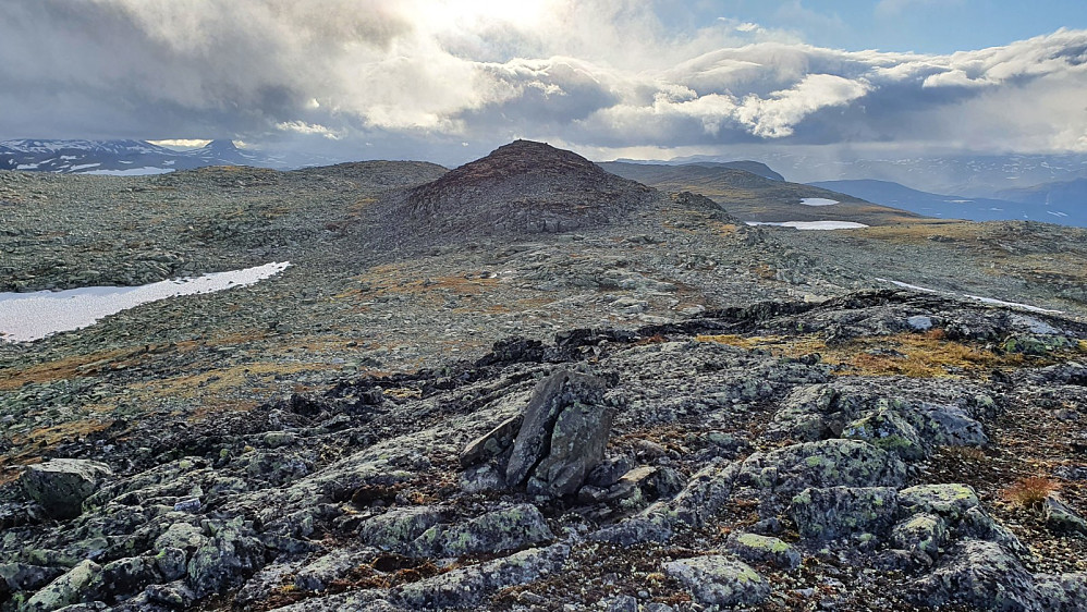 Høyeste punkt på Bergsfjellet. Det er flere små topper her oppe, men dette her den høyeste