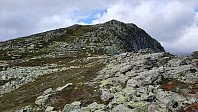 Veldig lettgått opp siste biten opp mot Bergsfjellet øst
