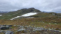 Fra Langefønnegge og bort på Vardhovdtinden. Det gikk en del rein i terrenget og en flokk på snøfonna under fjellet
