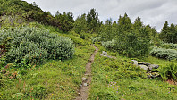 Fin og mye brukt sti opp skogen. Det var mange biler på parkeringsplassen, og jeg møtte mye folk i fjellet her