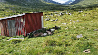 Her lå det en gjeng geiter i skyggen. Det var også storfe og hester på beite her, så det var riktig seteridyll her.
