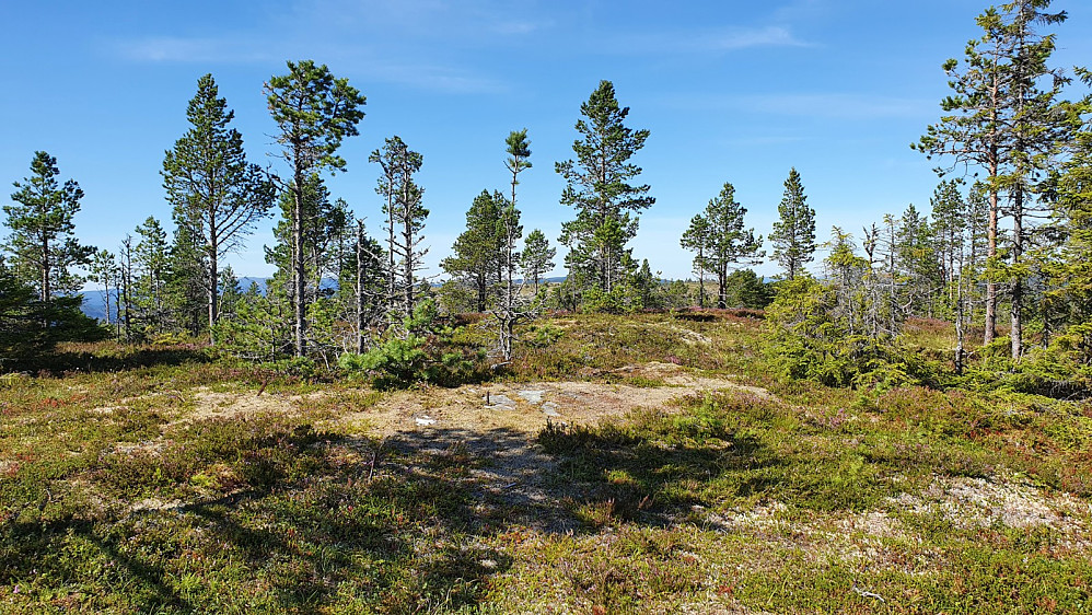 På toppen var det kun boltene i berget som viste menneskelig aktivitet