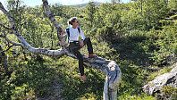 MMO måtte posere i dette spesielle treet