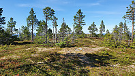 Toppen av Oksfjellet