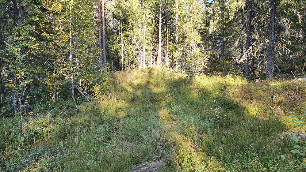 Jeg startet på flott sti opp lia