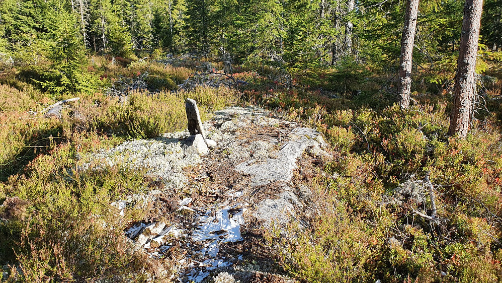 Liten markering på toppen av Hetfjellet. Jeg tok en tur bortom Knutsbråtehøgda også, da den er omtrent like høy.
