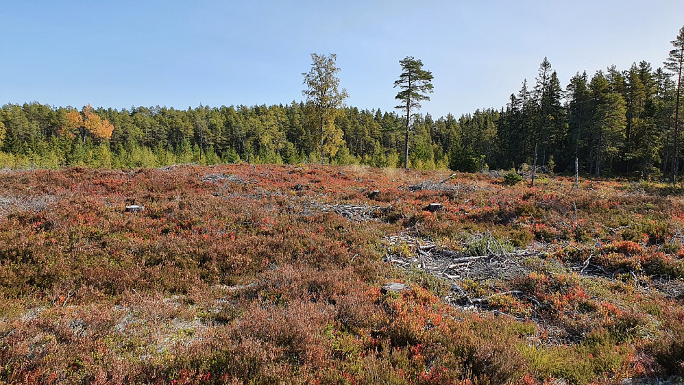 På det siste toppunktet var det ikke lett å si akkurat hvor det høyeste punktet var