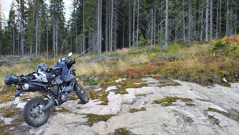 Motorsykkelen stod på trygg grunn mens jeg var på tur