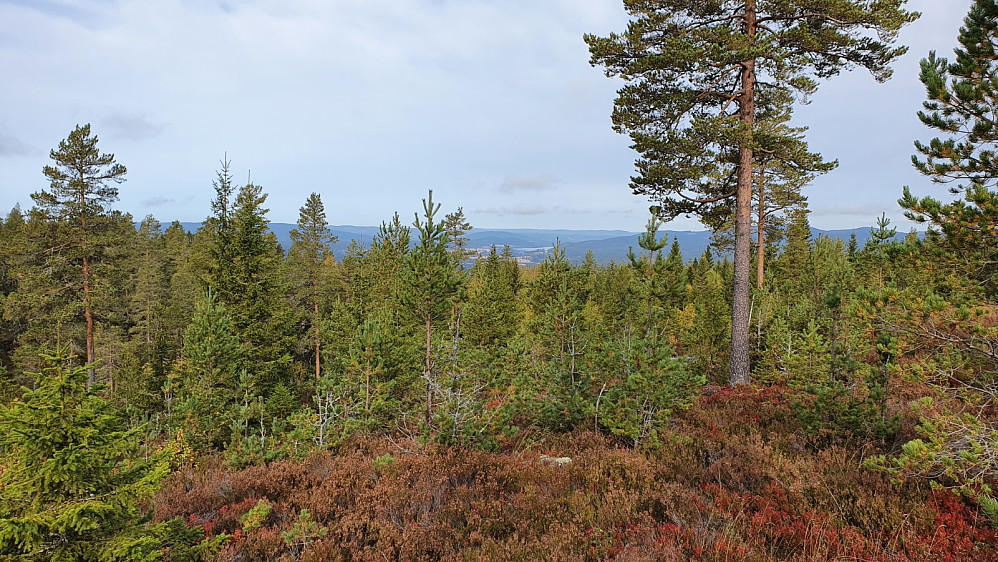 Flott utsikt opp dalen fra toppen