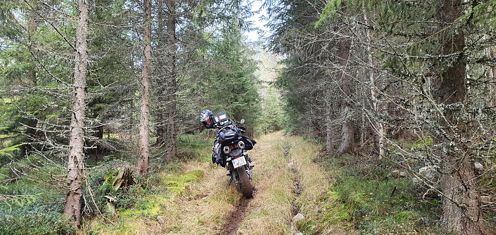 Det var vått og glatt og jeg kom ikke så langt inn som jeg hadde håpet på, med motorsykkelen