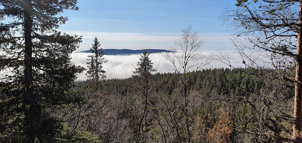 Storslagen utsikt fra ryggen og utover tåkehavet