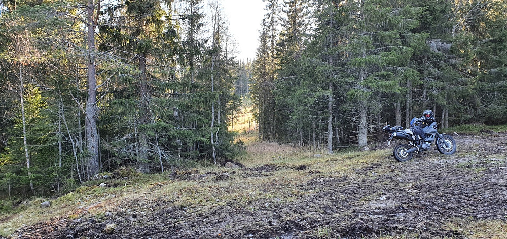 Etter  passering av 2 låste bommer og en særdeles glatt kjøretur på gressdekket vei, var jeg fremme ved turstart