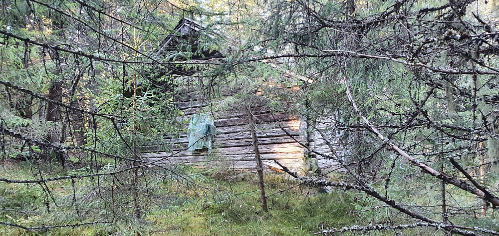 Noen meter høyere opp var det en koie til, og den var i ferd med å lide samme skjebne som den første jeg passerte