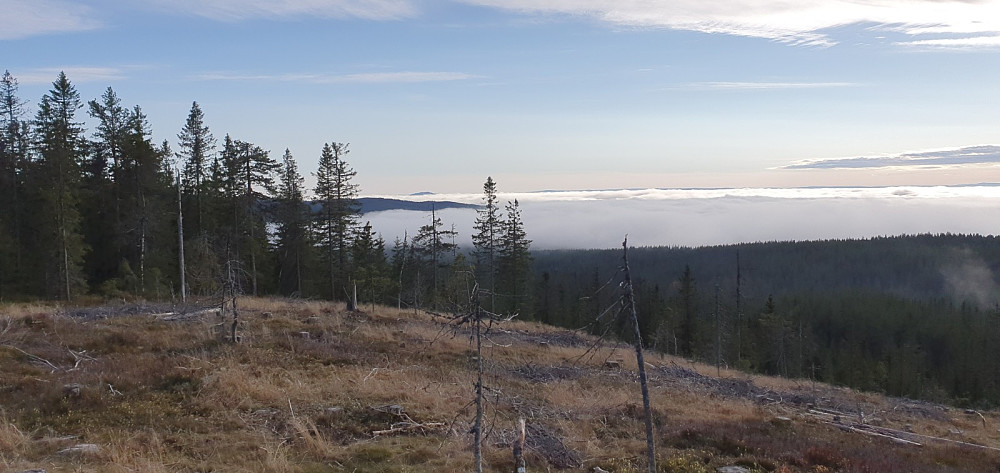 Fra toppen var det en storslagen utsikt utover tåkehavet. Her sørover