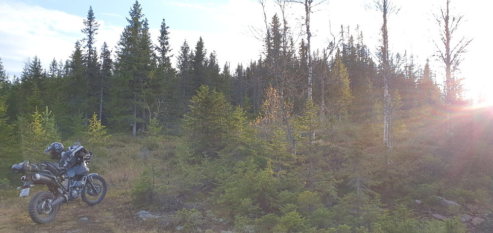 Sola stod lavt ved turstart, og det ble å gå i skyggen opp lia