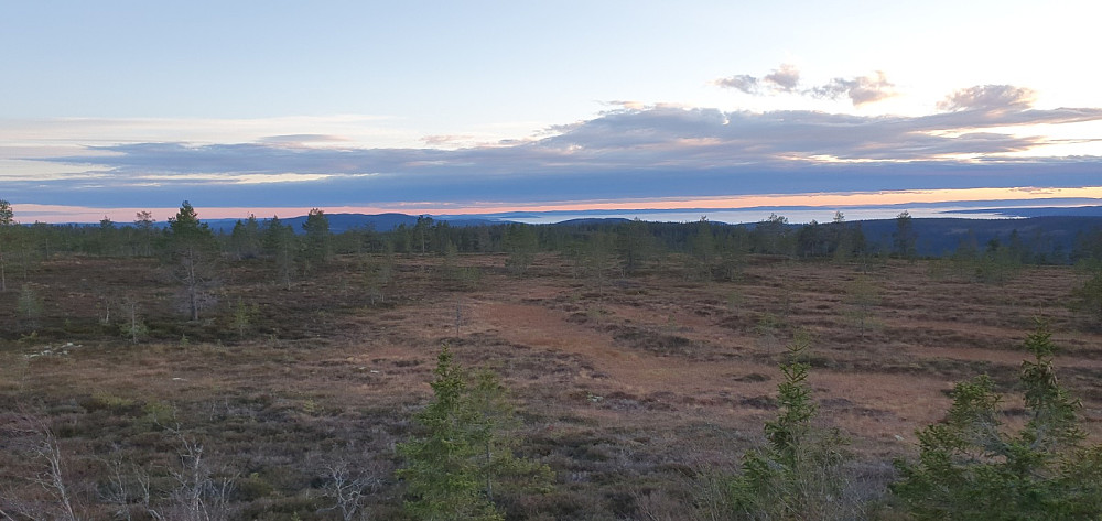 Utsikt sørover fra tårnet
