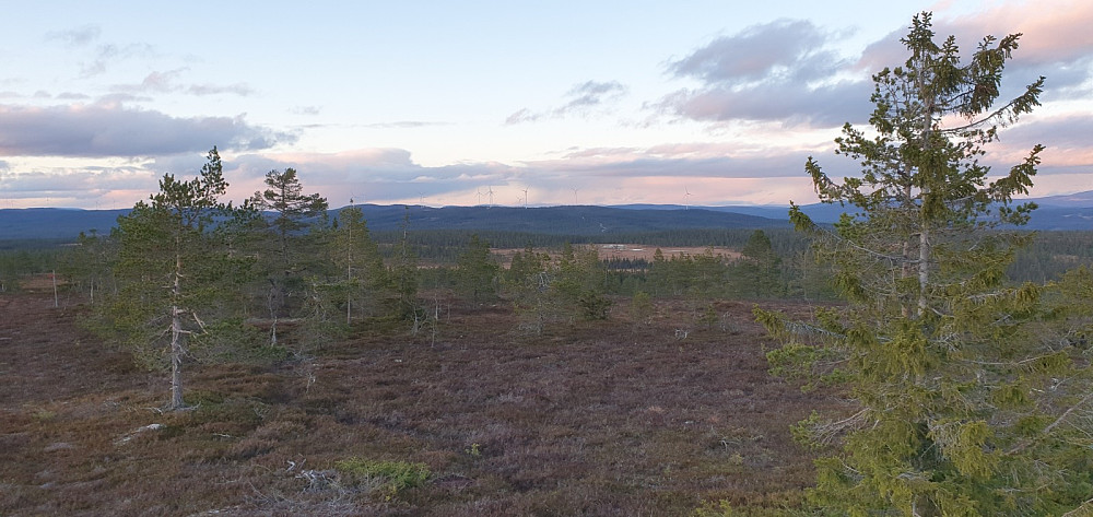 Sola var på tur ned, og jeg hadde akkurat dagslys nok igjen til å rekke ned før det ble mørkt