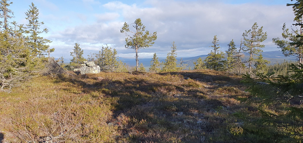 Høyeste punktet