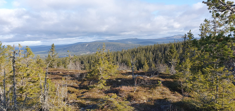Flott utsikt fra toppen. Tryslifjellet til høyre i bildet
