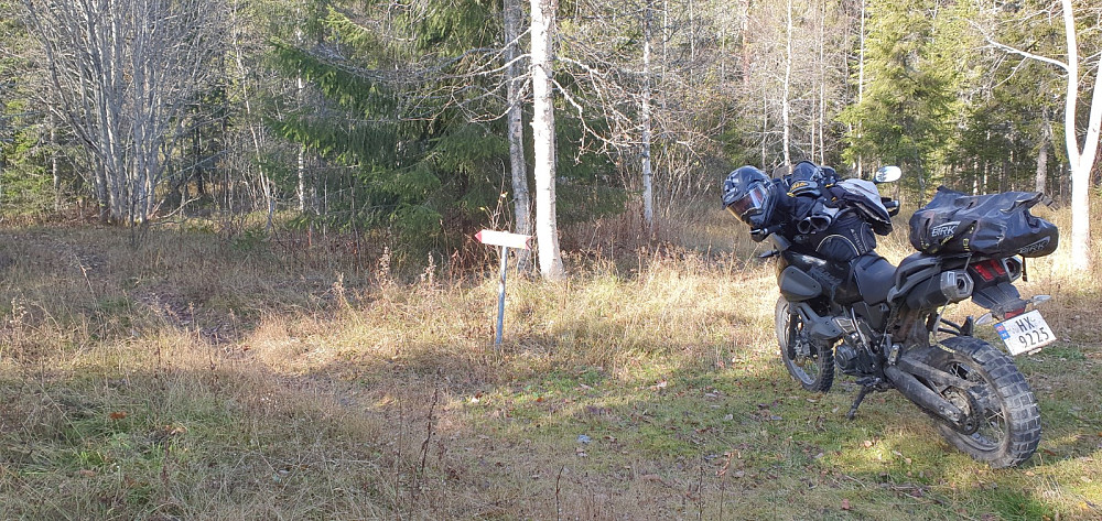 Jeg kjørte en smal grusvei opp til der jeg fant skiltet sti til Ulvsjøberget