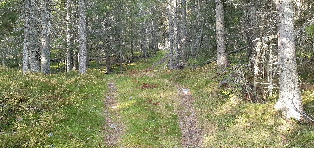 Jeg kunne følge en flott merket sti helt til toppen