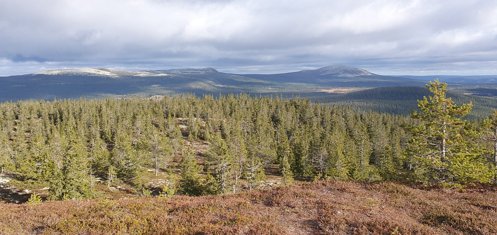 Skyene subbet ned på Trysilfjellet